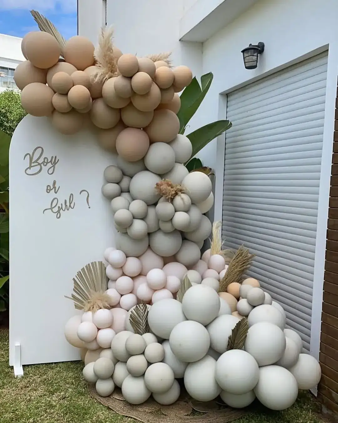 Gender Reveal